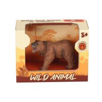 Wild Animal Diseños Surtidos - Koala Kids