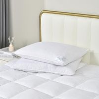Set De 2 Almohadas De Plumas Enteras Estándar - Viva