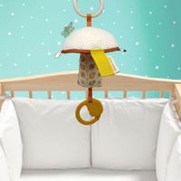 Colgable Para Carruaje Honguito De Actividades - Dolce
