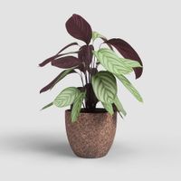Maceta Hestia Terracota 17 Cm - Artevasi