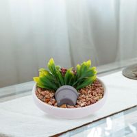 Planta Artificial Decorativa Con Piedras 16 X 9.5 Cm - Concepts