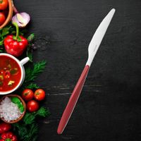 Cuchillo Fusión De Acero Inoxidable Rojo Y Plateado - Guzzini