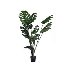Plantta Alta Con Hojas 150x90x150 Cm - Concepts