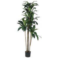Planta Alta Con Hojas Verdes 200x90x200 Cm - Concepts