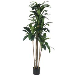Planta Alta Con Hojas Verdes 200x90x200 Cm - Concepts