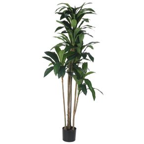 Planta Alta Con Hojas Verdes 200x90x200 Cm - Concepts