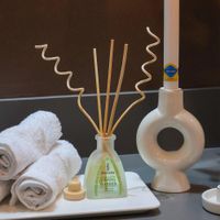 Difusor-Ecologico-Aroma-Spring-Garden---Sinovelas