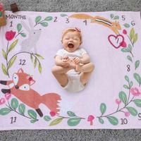 Manta Meses Del Bebe Animales Del Bosque - Little Love By Nojo