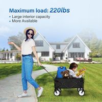 Carrito de Playa Negro 40.5x21.5x47.44 Plg - Simplelux