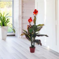 Planta Artificial Con Maceta 120 Cm - Concepts