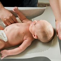 Bañera Spa Con Regadera - Nursery And Bath
