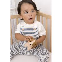 Adrien El Pequeño Perro - Little Big Friends