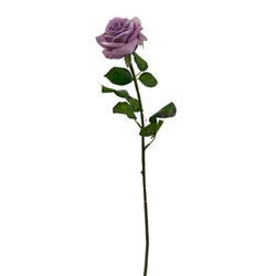 Rosa Violeta 67.3 Cm - Concepts