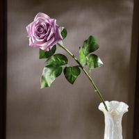 Rosa Violeta 67.3 Cm - Concepts