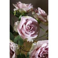 Ramo De Rosas Rosada 45 Cm - Concepts