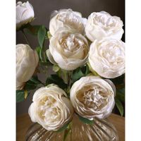 Ramo De Rosas Blancas 45 Cm  - Concepts
