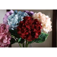 Hortensia 68 Cm Colores Surtidos - Concepts