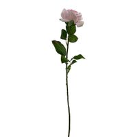 Rosa Rosada 67.3 Cm - Concepts