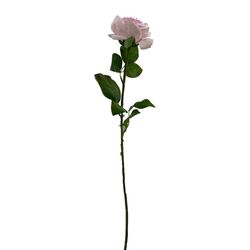 Rosa Rosada 67.3 Cm - Concepts