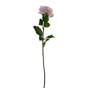 Rosa Rosada 67.3 Cm - Concepts
