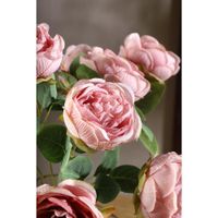 Ramo De Rosas Rosada 45 Cm - Concepts