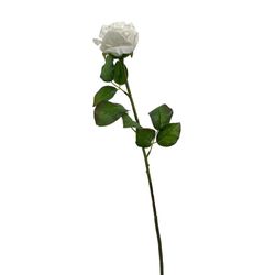 Rosa Blanca 67.3 Cm - Concepts
