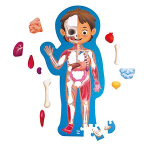 Rompecabezas Del Cuerpo Humano 50 Pzas - Hape