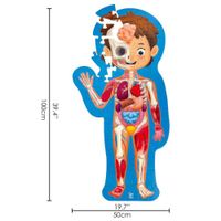 Rompecabezas Del Cuerpo Humano 50 Pzas - Hape