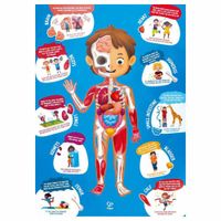 Rompecabezas Del Cuerpo Humano 50 Pzas - Hape