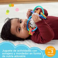 Nutria Con Anillos Mordedores - Fisher Price