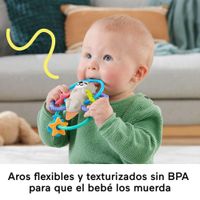 Nutria Con Anillos Mordedores - Fisher Price