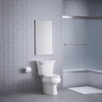 Sanitario de Dos Piezas con Palanca Lateral y Diseño Compacto