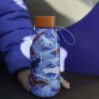 Pachón Thermal Dinosaurios de 11.15 Oz - Quokka Kids