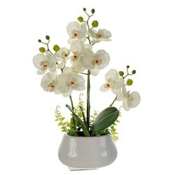 Orquídea Artificial Blanca Con Pote 15 Cm - Concepts