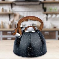 Tetera 3.5 L - Nordika Varios Colores