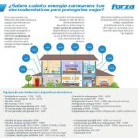 Protector Contras Sobrecorrientes Ups 250 W 6 Entradas - Forza