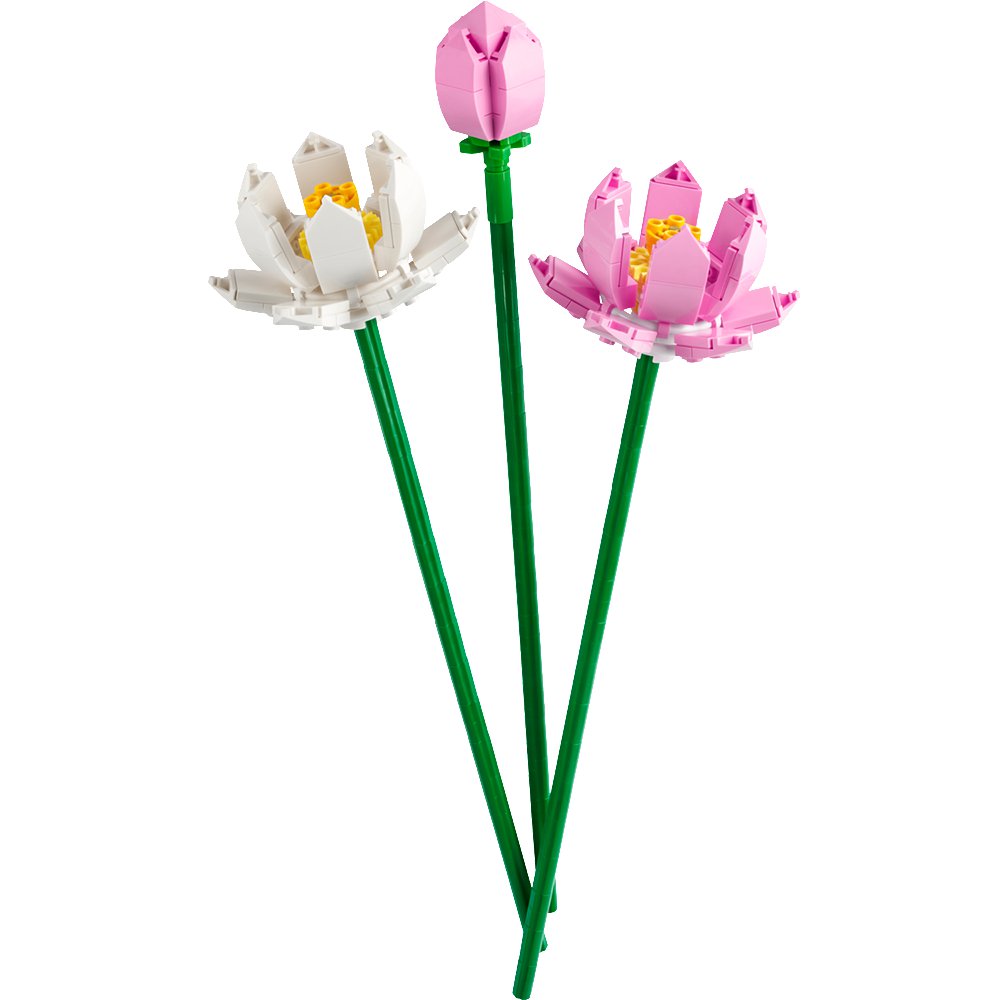 LEGO Botanicals Flores de Loto #40647 de 220 Piezas