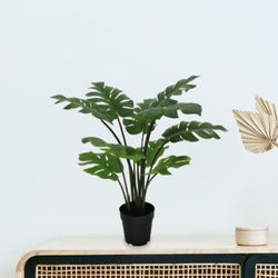 Maceta Mano León 82 Cm - Viva