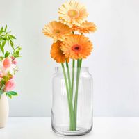 Florero de Vidrio 22 Cm - Viva