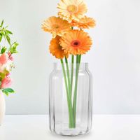 Florero de Vidrio 22 Cm - Viva