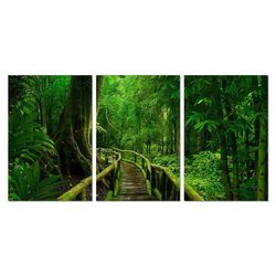 Cuadro Decorativo Acrílico Diseño Bosque 60X90 Cm - Viva