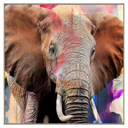 Cuadro Decorativo Elefante 100X100 Cm con Marco