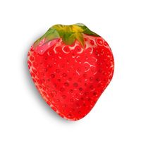 Plato Fresa - Toscana