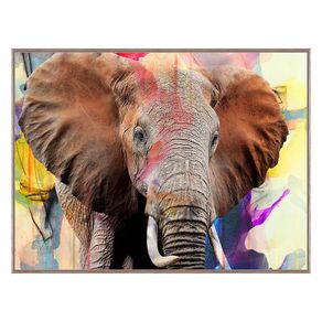 Cuadro Decorativo Elefante 60X80 Cm con Marco