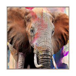 Cuadro Decorativo Elefante 80X80 Cm con Marco