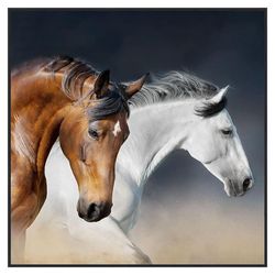 Cuadro Decorativo Caballos 100X100 Cm con Marco