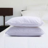 Set De 2 Almohadas Hipoalergénicas Estándar - Viva
