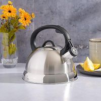 Tetera con Silbato Plateada 1.75 Qt - Mr. Coffee