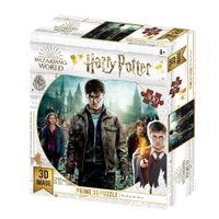 Rompecabezas Lenticular 3D Harry Hermione de 300 Pzas - Harry Potter