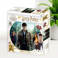 Rompecabezas Lenticular 3D Harry Hermione de 300 Pzas - Harry Potter